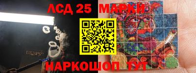 PSILOCYBIN Тверь