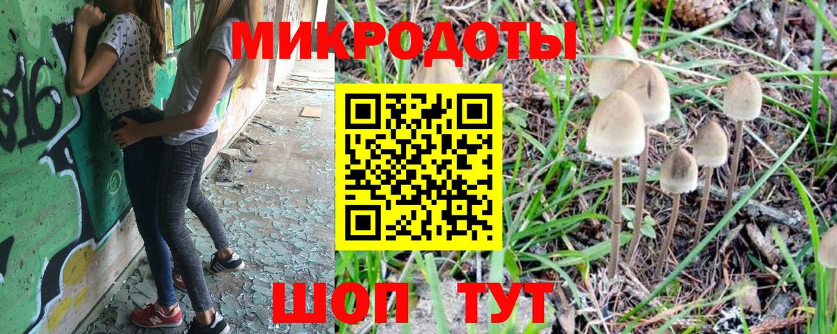 Галлюциногенные грибы Psilocybine cubensis  Псилоцибиновые грибы Psilocybe  Вход с VPN  Богданович 